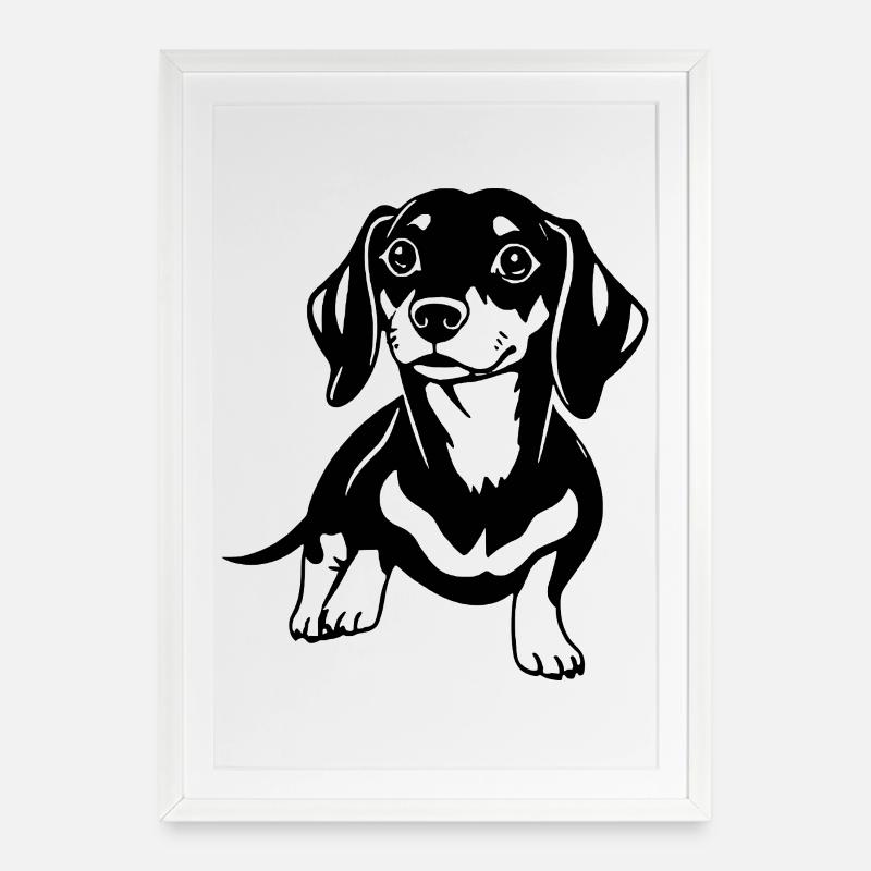 teckel - Affiche encadrée (49 × 69 cm) - blanc