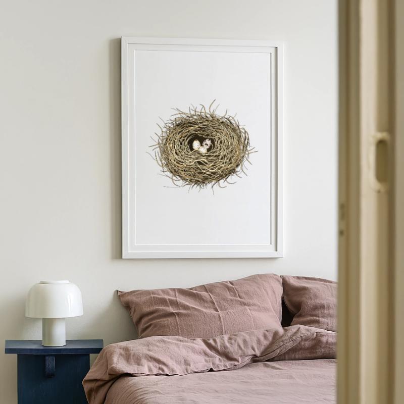 Vogelnest oder Osternest mit drei Vogel Eier Gerahmtes Poster (49 × 69 cm)