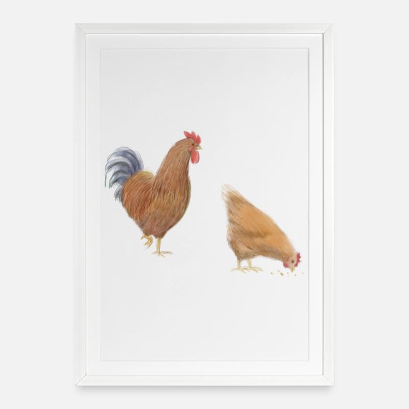 Hen and rooster sketch - Framed poster (49 × 69 cm) - white