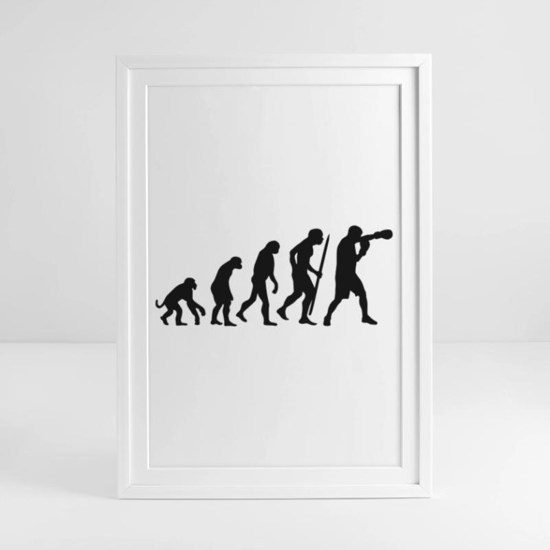 Evolution de la boxe Affiche encadrée (49 × 69 cm)