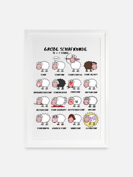 Große Schafkunde - Gerahmtes Poster (49 × 69 cm) - Weiß