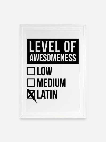 Latein, Latein, Latein - Gerahmtes Poster (49 × 69 cm) - Weiß