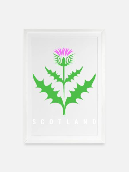 Schottland Schotten Schottisch Schotte - Gerahmtes Poster (49 × 69 cm) - Weiß