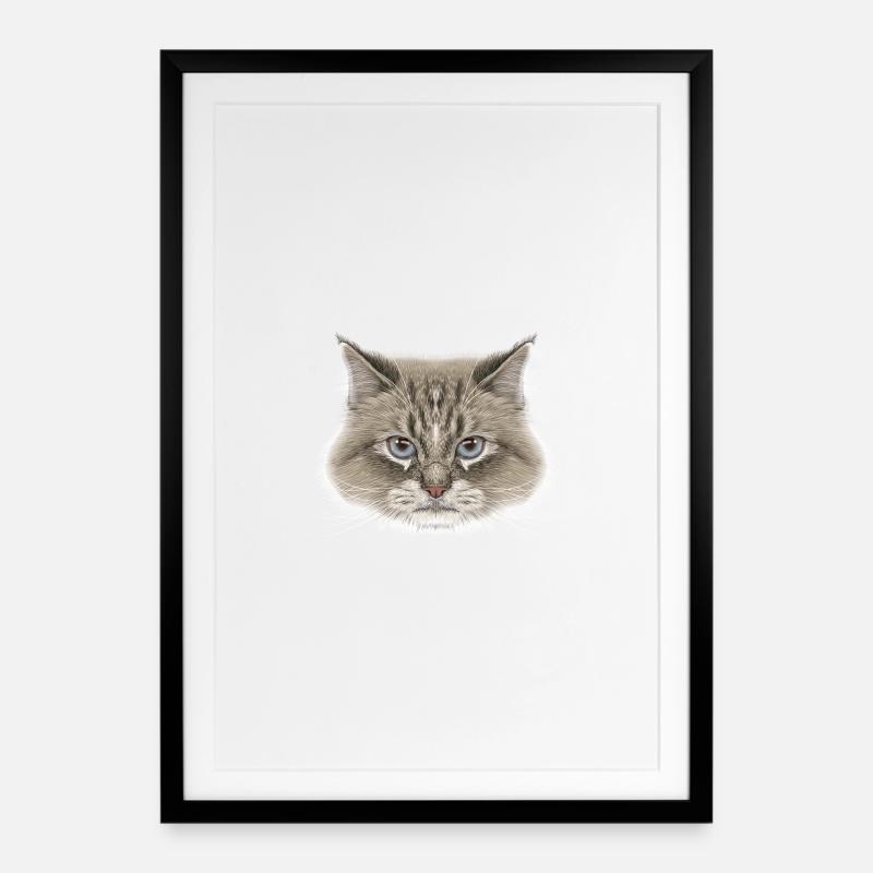 Siberian Cat - Affiche encadrée (49 × 69 cm) - noir