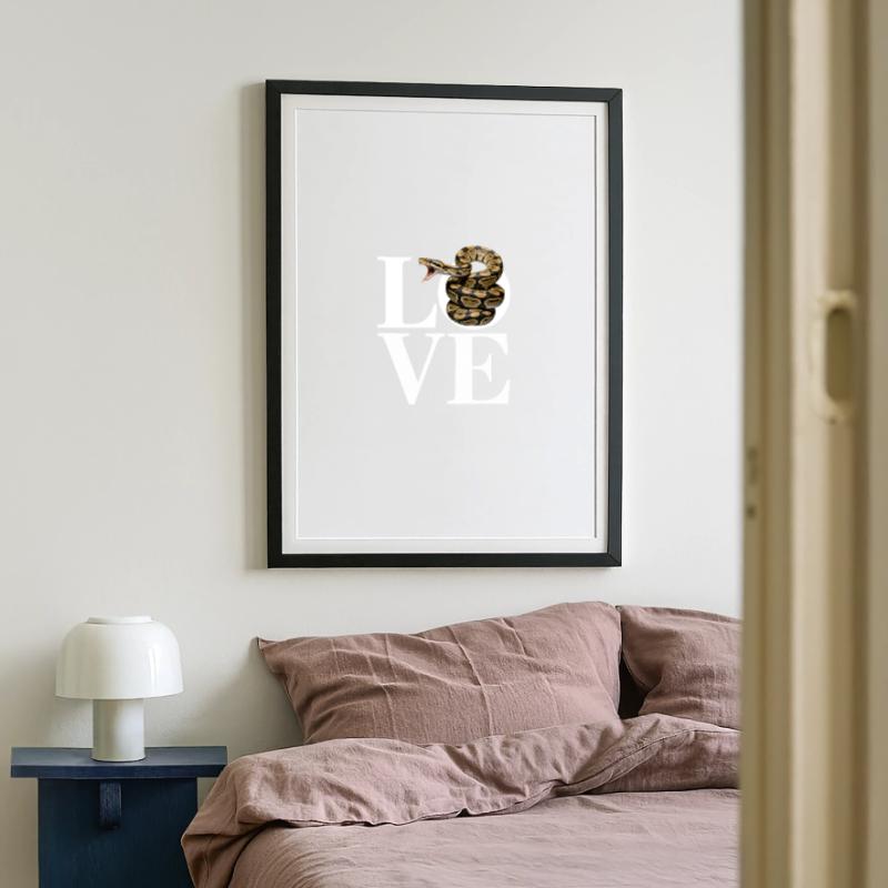 King Python Snakes LOVE Terrarium Python Framed poster (49 × 69 cm)