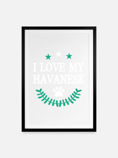 Havaneser - Gerahmtes Poster (49 × 69 cm) - Schwarz
