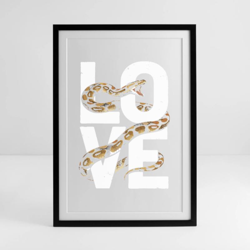 Königspython Schlangen LOVE Terrarium Python Gerahmtes Poster (49 × 69 cm)