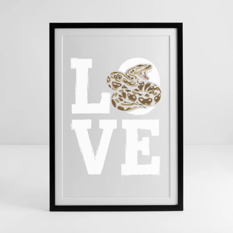 King Python Snakes LOVE Terrarium Python Framed poster (49 × 69 cm)