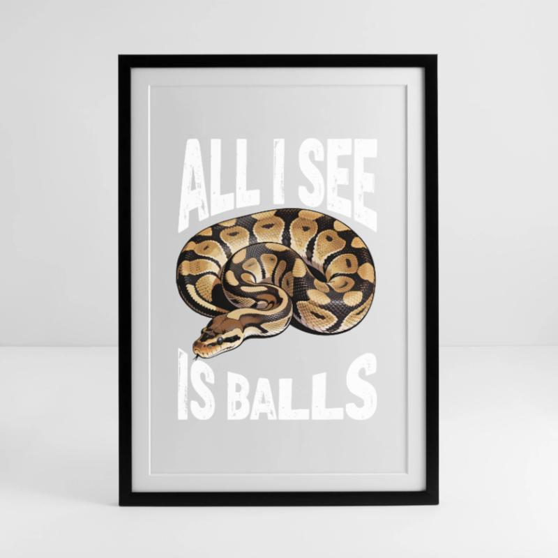 Python roi Serpents Amateurs de terrarium Python Affiche encadrée (49 × 69 cm)