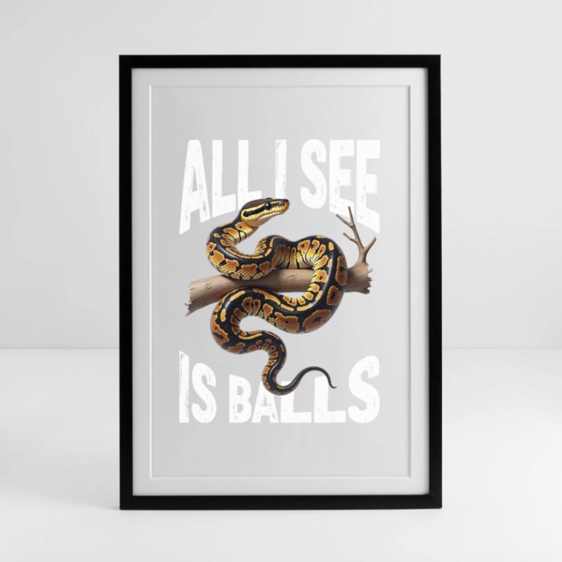 Königspython Schlangen Liebhaber Terrarium Python Gerahmtes Poster (49 × 69 cm)