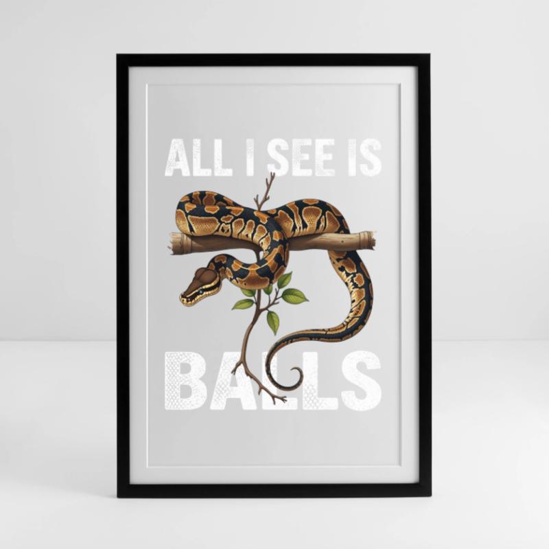 Python roi Serpents Amateurs de terrarium Python Affiche encadrée (49 × 69 cm)