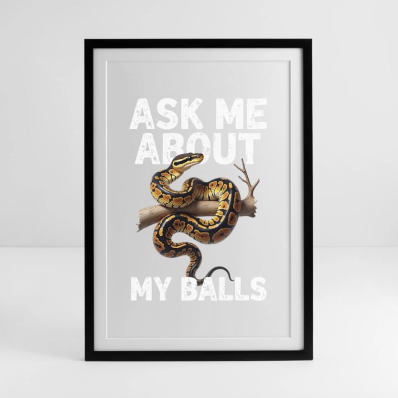 Königspython Schlangen Liebhaber Terrarium Python Gerahmtes Poster (49 × 69 cm)