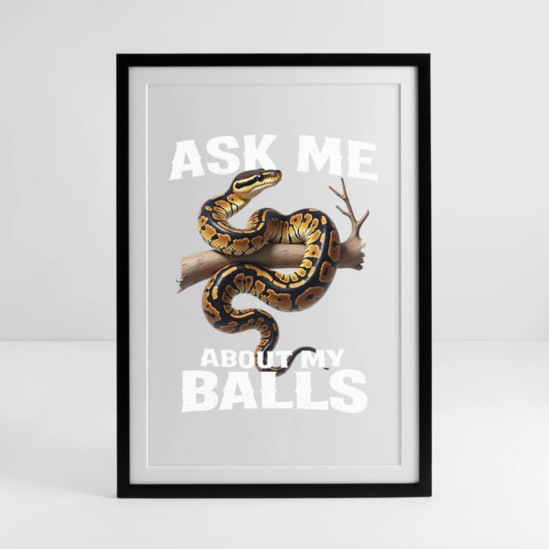 Königspython Schlangen Liebhaber Terrarium Python Gerahmtes Poster (49 × 69 cm)