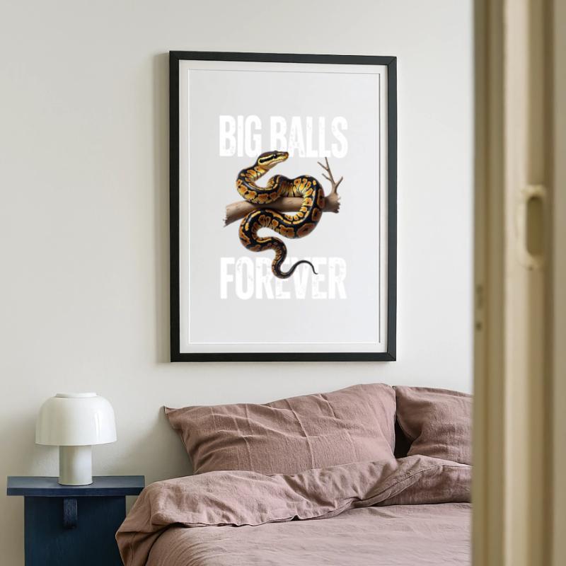 Königspython Schlangen Liebhaber Terrarium Python Gerahmtes Poster (49 × 69 cm)
