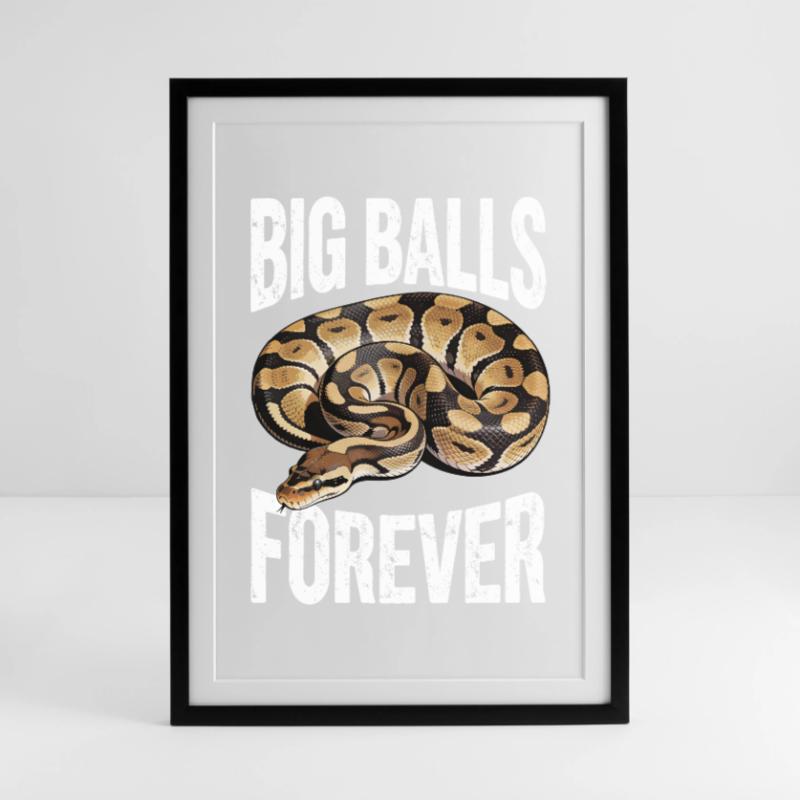 King Python Snakes Lover Terrarium Python Framed poster (49 × 69 cm)