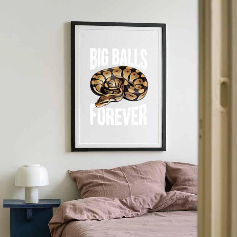 Königspython Schlangen Liebhaber Terrarium Python Gerahmtes Poster (49 × 69 cm)