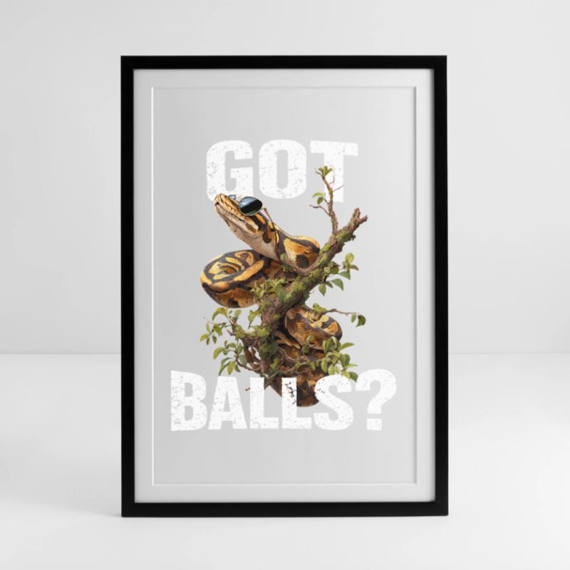 Python roi Serpents Amateurs de terrarium Python Affiche encadrée (49 × 69 cm)