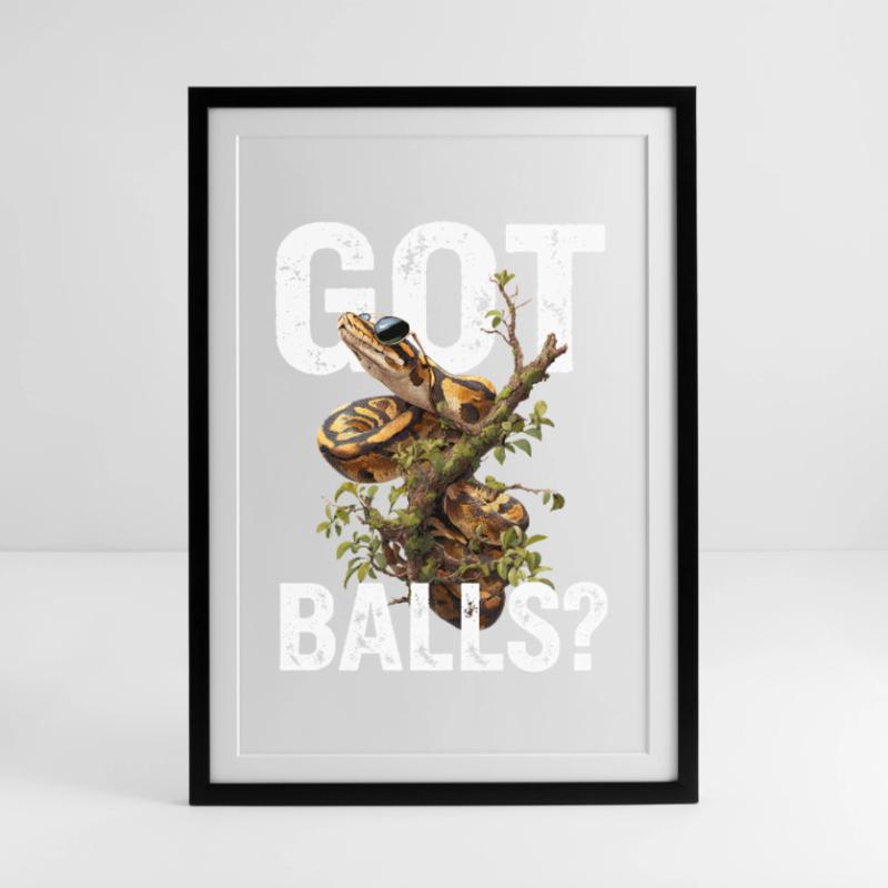 Python roi Serpents Amateurs de terrarium Python Affiche encadrée (49 × 69 cm)