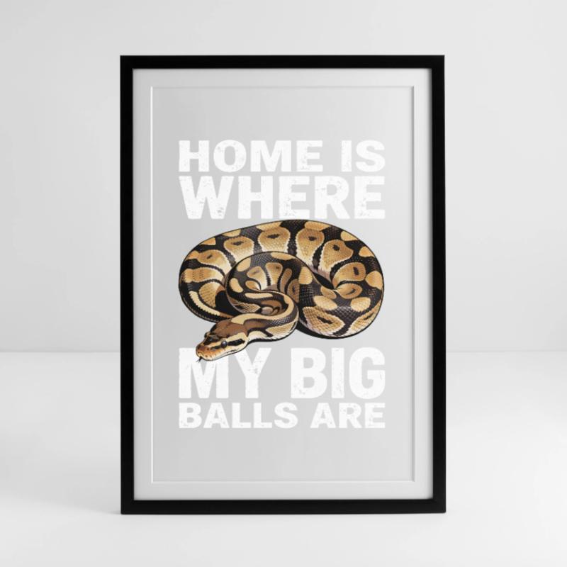 Python roi Serpents Amateurs de terrarium Python Affiche encadrée (49 × 69 cm)