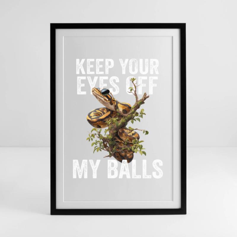 Königspython Schlangen Liebhaber Terrarium Python Gerahmtes Poster (49 × 69 cm)