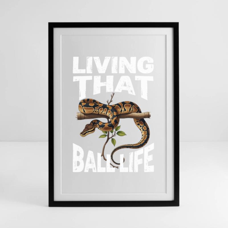 Königspython Schlangen Liebhaber Terrarium Python Gerahmtes Poster (49 × 69 cm)