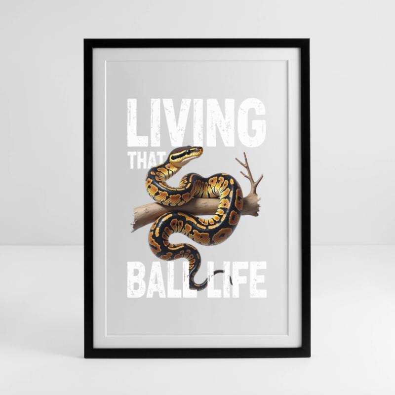 Python roi Serpents Amateurs de terrarium Python Affiche encadrée (49 × 69 cm)
