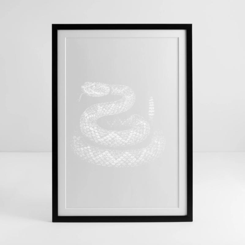 Schlange Gerahmtes Poster (49 × 69 cm)