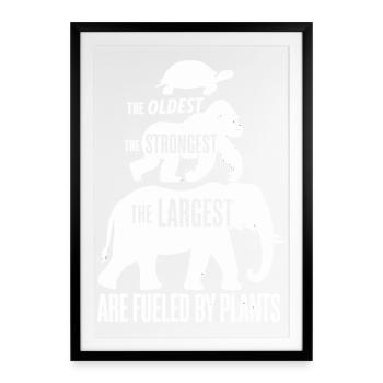  Vegan Statement The Oldest The Strongest The - Gerahmtes Poster (49 × 69 cm) - Schwarz - Vorne