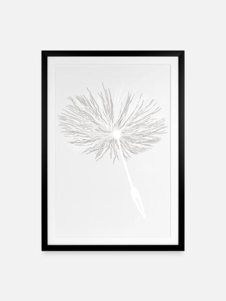 Loewenzahn Samen Pusteblume - Gerahmtes Poster (49 × 69 cm) - Schwarz