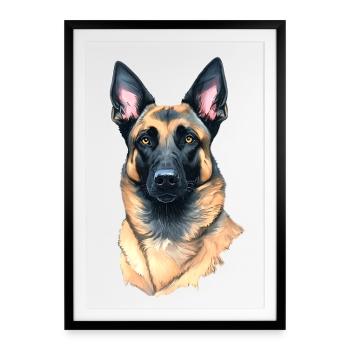 Chien Berger Belge Malinois - Affiche encadrée (49 × 69 cm) - noir - Devant