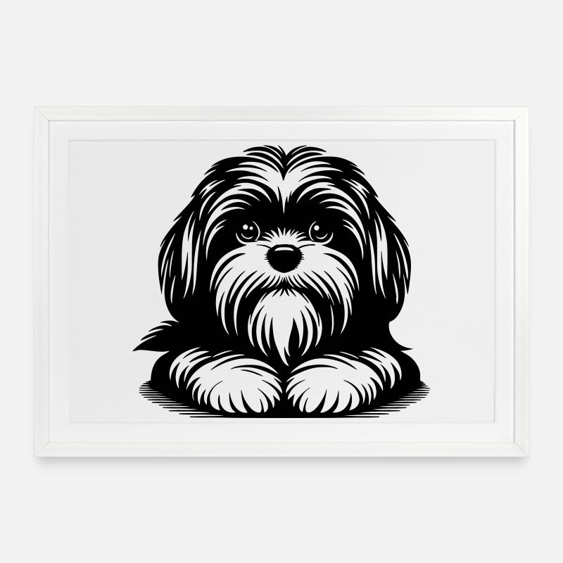 Tête de Shih Tzu avec pattes - Affiche encadrée (69 × 49 cm) - blanc