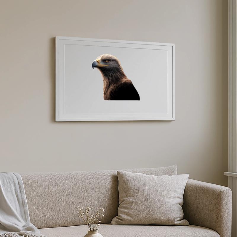 Eagle Bald Eagle Golden Eagle White-tailed Eagle Framed poster (69 × 49 cm)