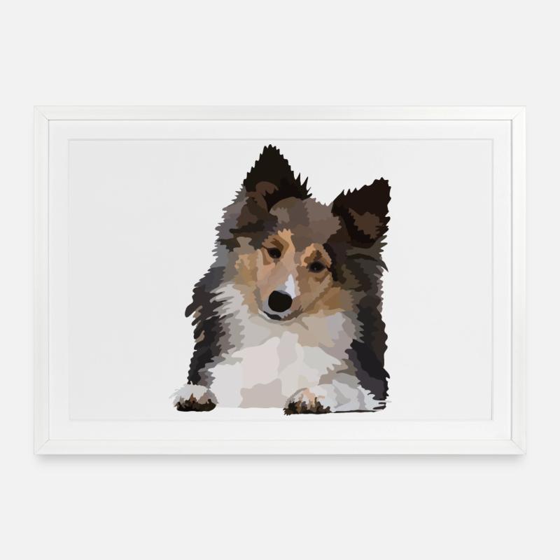 Dani, the Sheltie - Framed poster (69 × 49 cm) - white