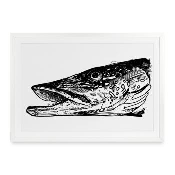 Brochet - Pêche au brochet - Poisson préféré - Affiche encadrée (69 × 49 cm) - blanc - Devant