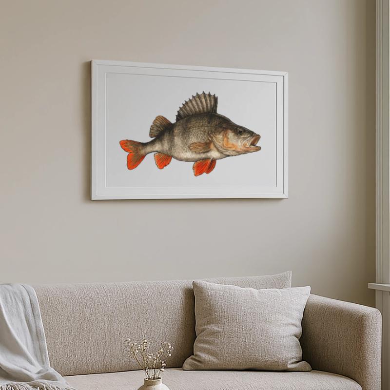 Perche Perche Perche Perche Perche Pêche Perche Perche Affiche encadrée (69 × 49 cm)