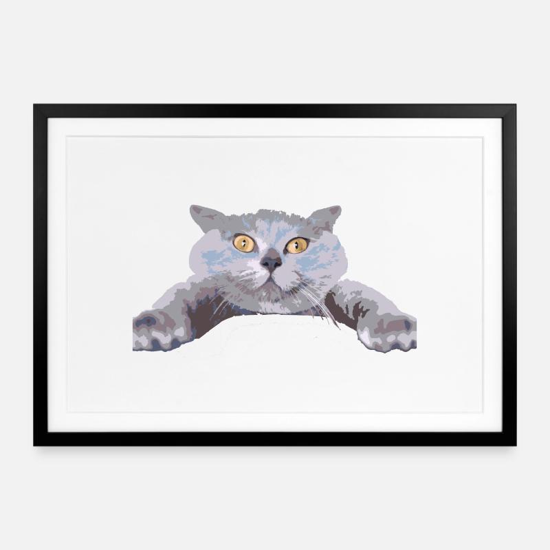 Chat - - Affiche encadrée (69 × 49 cm) - noir
