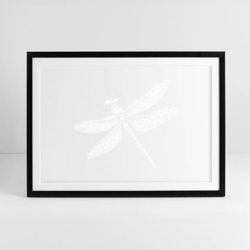 Libellule Affiche encadrée (69 × 49 cm)