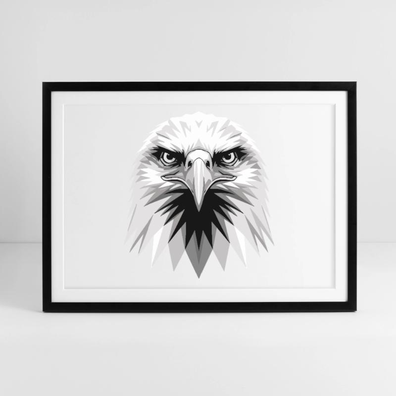 Eagle Bald Eagle Golden Eagle White-tailed Eagle Framed poster (69 × 49 cm)