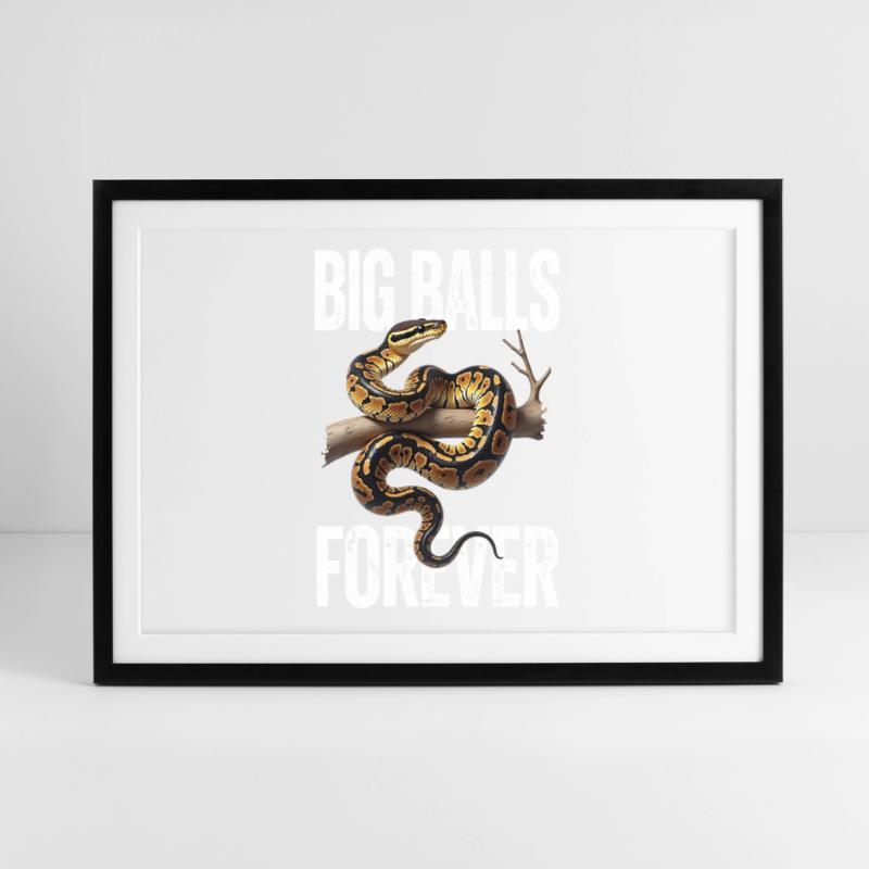 Königspython Schlangen Liebhaber Terrarium Python Gerahmtes Poster (69 × 49 cm)