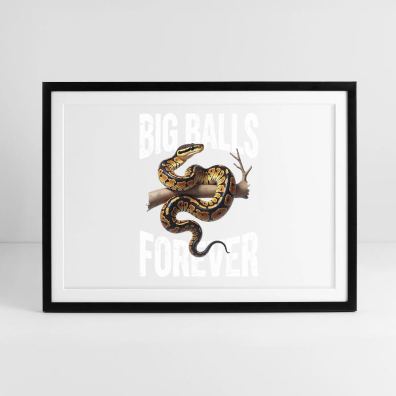Königspython Schlangen Liebhaber Terrarium Python Gerahmtes Poster (69 × 49 cm)