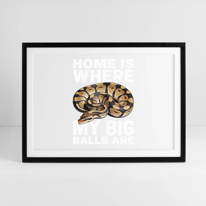 Python roi Serpents Amateurs de terrarium Python Affiche encadrée (69 × 49 cm)