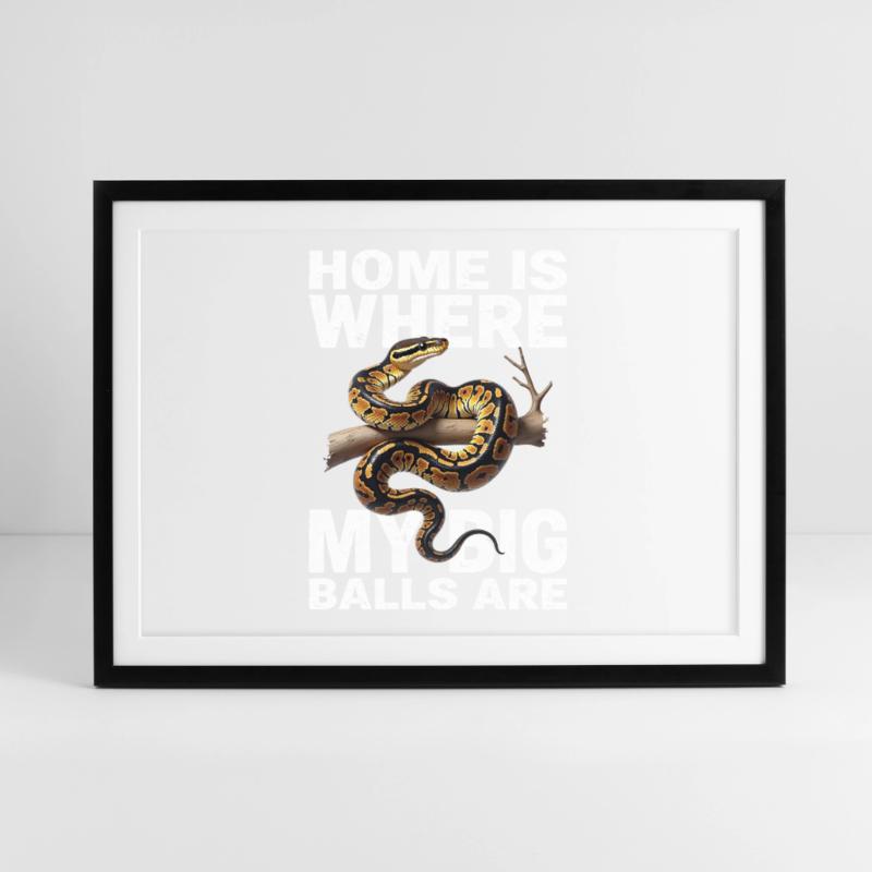 Python roi Serpents Amateurs de terrarium Python Affiche encadrée (69 × 49 cm)