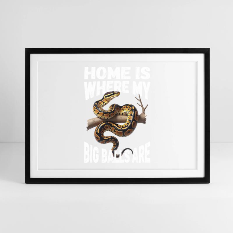 Python roi Serpents Amateurs de terrarium Python Affiche encadrée (69 × 49 cm)