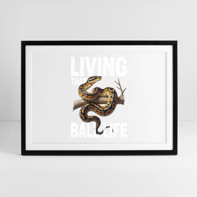 Königspython Schlangen Liebhaber Terrarium Python Gerahmtes Poster (69 × 49 cm)