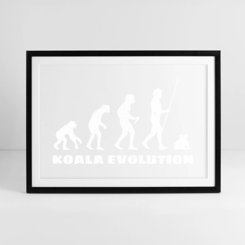 Koala Evolution Gerahmtes Poster (69 × 49 cm)