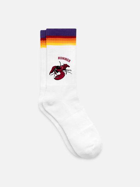 Hummer - Gestreifte Tennissocken - weiß/regenbogen
