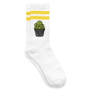 Kawaii-Kaktus-Topfgarten - Gestreifte Tennissocken - Weiß/Gelb - Rechts
