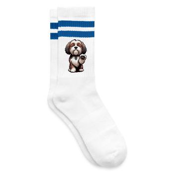Propriétaires havanais havanais Agriculteurs havanais - Chaussettes de tennis - blanc/bleu - Droite