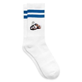 Bouvier bernois, chiens de montagne, propriétaires de chiens de montagne - Chaussettes de tennis - blanc/bleu - Droite