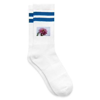 Dahlie pink rosa Blüte ,Blume - Gestreifte Tennissocken - Weiß/Blau - Rechts